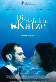 Die defekte Katze