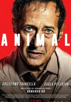 Animal