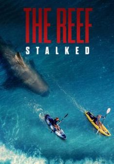 The Reef: Stalked