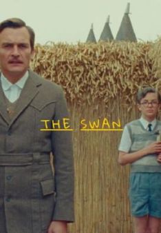 Der Schwan