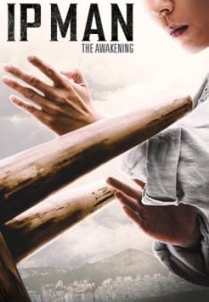 Ip Man: The Awakening