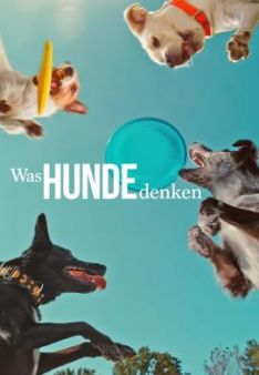 Was Hunde denken