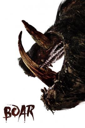 Boar stream