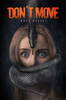 Don't Move - Halt still! stream