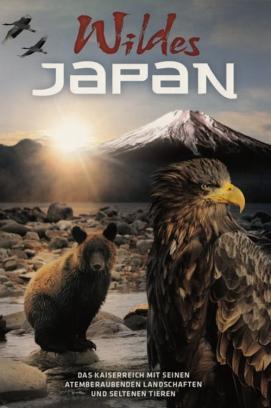 Wildes Japan - Schneeaffen und Vulkane stream