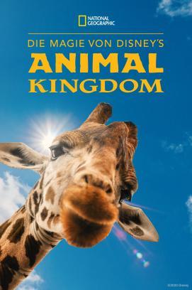 Die Magie von Disney's Animal Kingdom - Staffel 1 stream