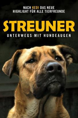 Streuner - Unterwegs mit Hundeaugen stream