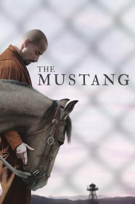 The Mustang stream