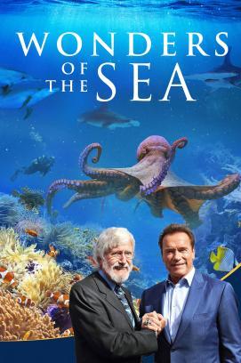 Wonders of the Sea stream