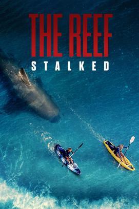 The Reef: Stalked stream