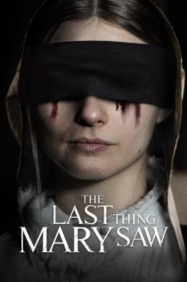 The Last Thing Mary Saw stream