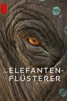 Die Elefantenflüsterer stream