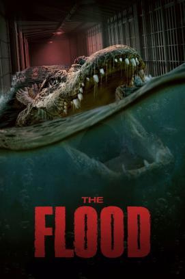 The Flood stream