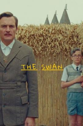 Der Schwan stream
