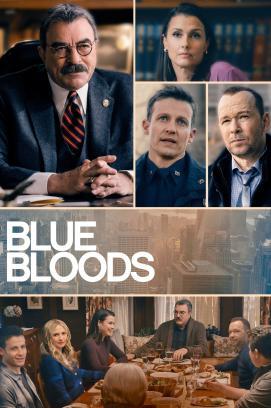 Blue Bloods - Crime Scene New York - Staffel 13 stream