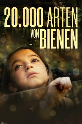20.000 Arten von Bienen stream