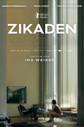 Zikaden stream