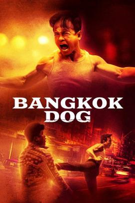Bangkok Dog stream