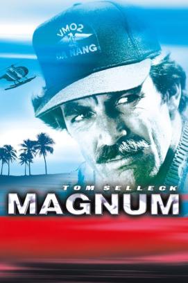 Magnum - Staffel 8 stream