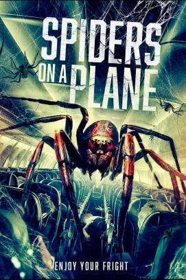 Spiders on a Plane stream