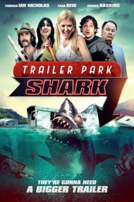 Shark Shock stream