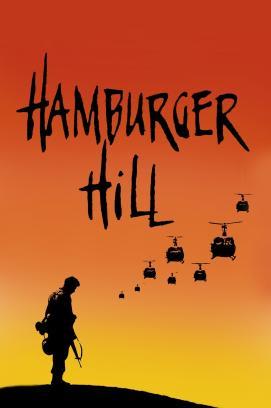 Hamburger Hill stream